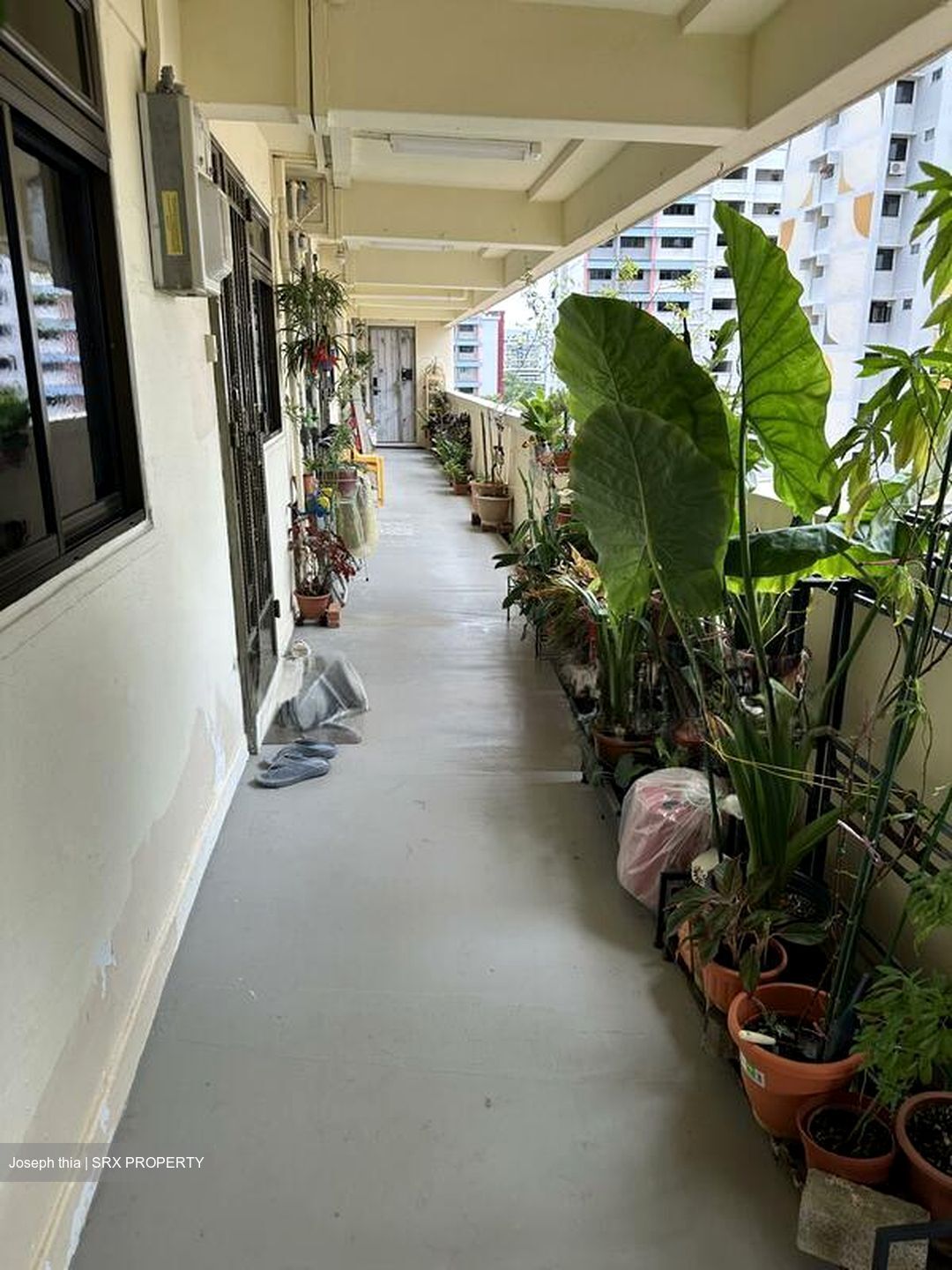 Blk 803 King George's Avenue (Kallang/Whampoa), HDB 3 Rooms #498120111